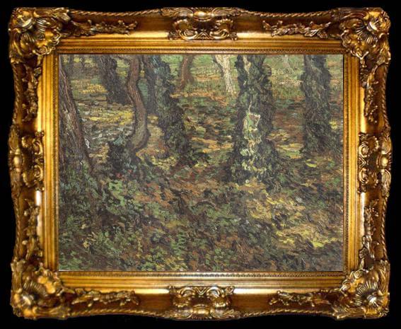 framed  Vincent Van Gogh Tree Trunks with Ivy (nn04), ta009-2